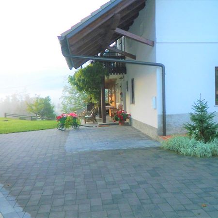 Apartma Biofit Bled Camera foto