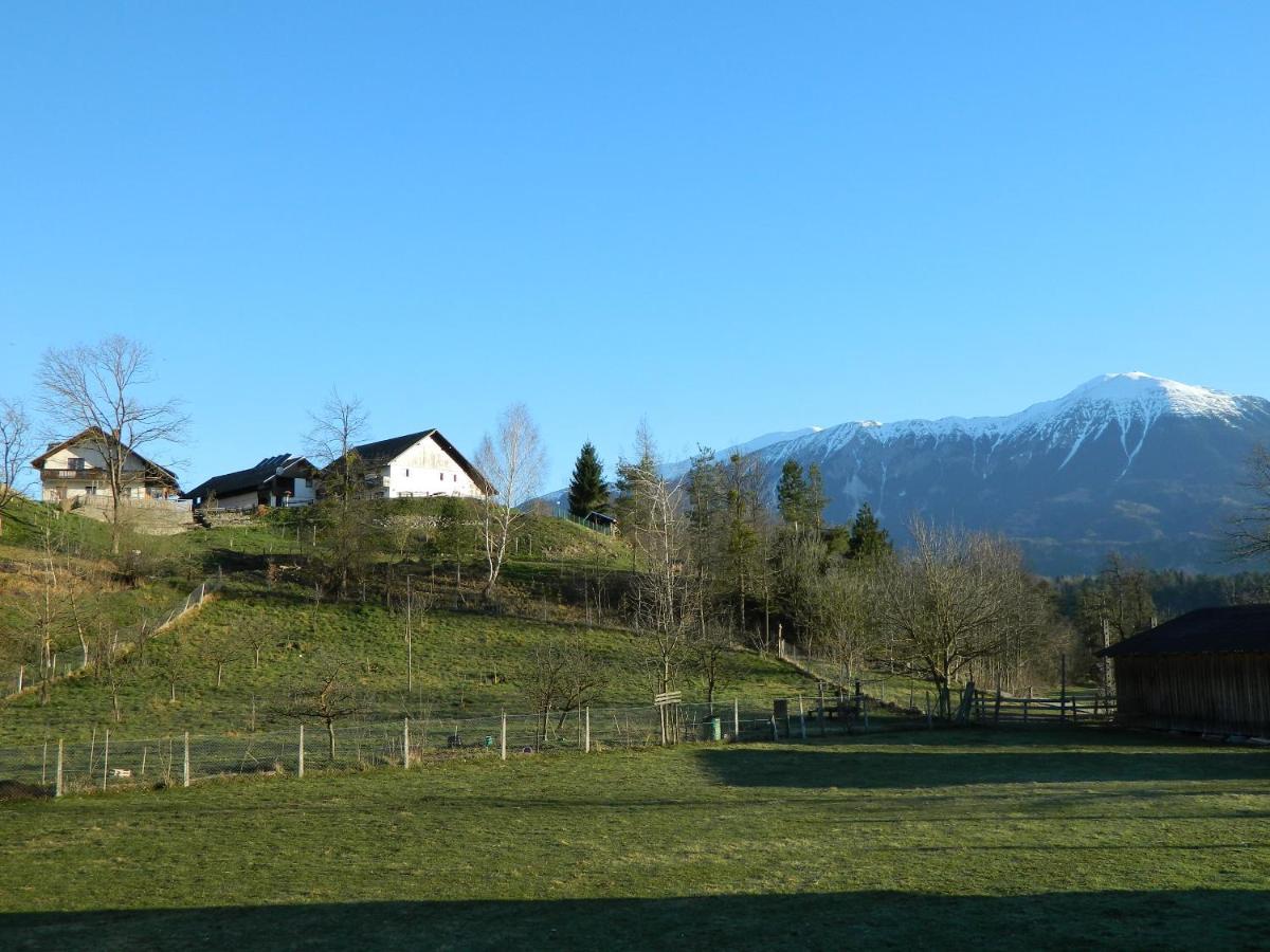 Apartma Biofit Bled Esterno foto