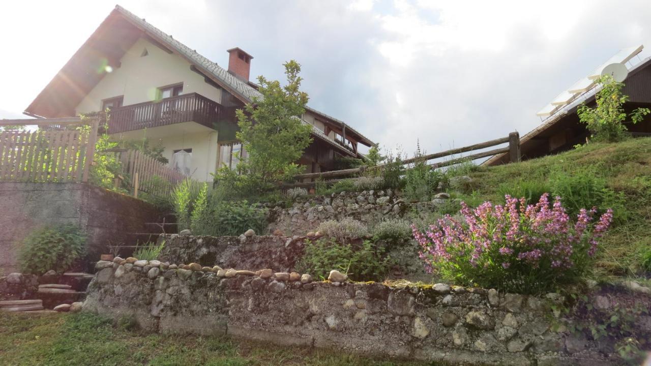 Apartma Biofit Bled Esterno foto