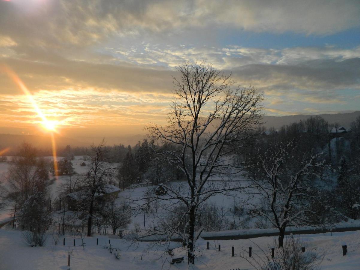 Apartma Biofit Bled Esterno foto