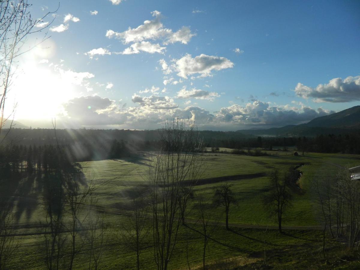 Apartma Biofit Bled Esterno foto