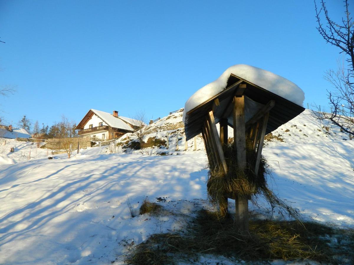 Apartma Biofit Bled Esterno foto
