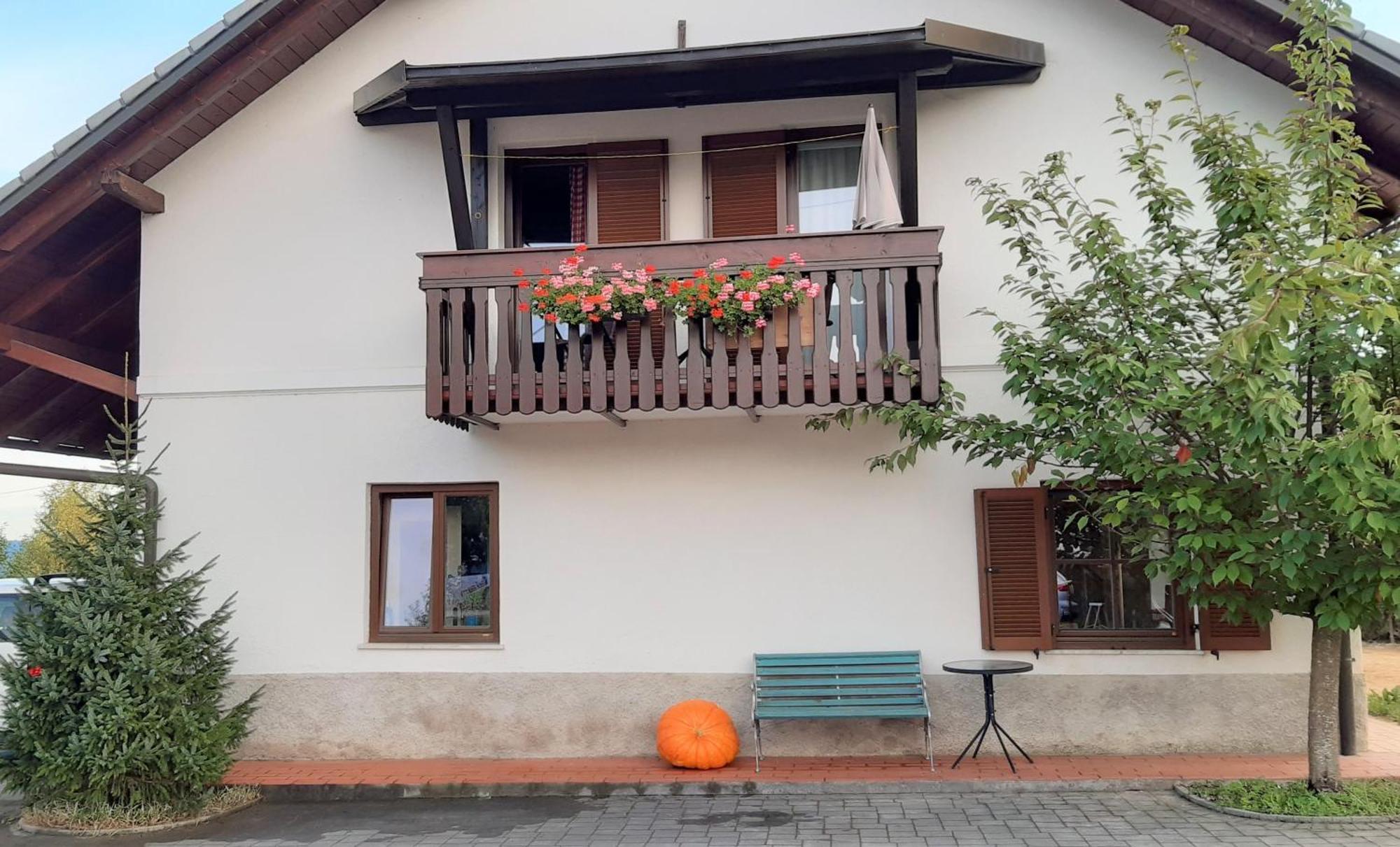 Apartma Biofit Bled Camera foto